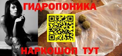 индика Лесосибирск