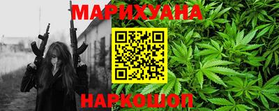 индика Лесосибирск