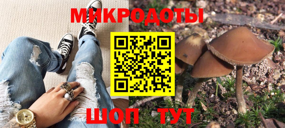 Галлюциногенные грибы Psilocybe Ижевск